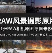 我不卡手机伦理电-我不卡手机伦理电,在数字时代寻找平衡的智慧